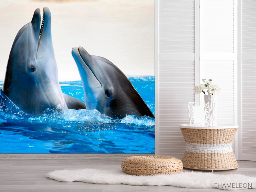 Фотообои Общение дельфинов - 2
