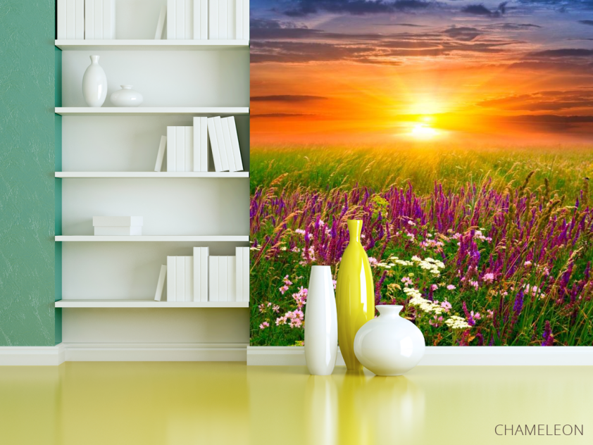 Фотошпалери Польові квіти, захід - 3