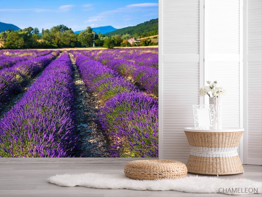 Фотошпалери поле квітів - 2