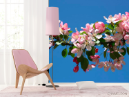 Фотошпалери Фотошпалери Черешня квітуча - 4