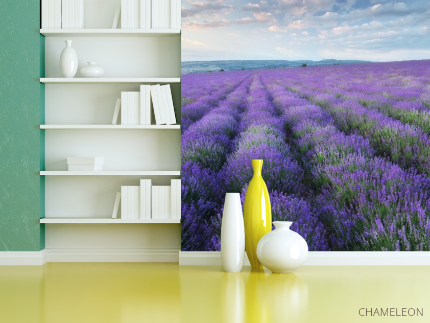 Фотошпалери лавандавое полі - 3