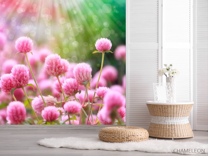 Фотошпалери Рожевий конюшина - 2