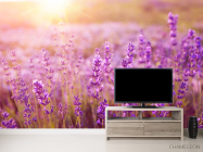 Фотообои поле цветочков - 2