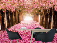 Фотошпалери алея з рожевими пелюстками - 1