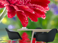 Фотошпалери червоний квітка над водою - 1