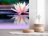 Фотошпалери Квітка - 2