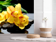 Фотошпалери Орхідея - 2