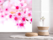 Фотошпалери Квітуча навесні дерево - 2