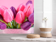 Фотошпалери Рожеві та фіолетові тюльпани - 2