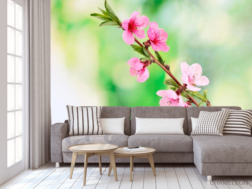 Фотообои Распустившиеся цветы весной - 3