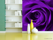 Фотошпалери Фіолетова троянда - 3