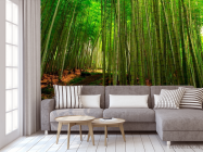 Фотообои Бамбук, тропинка - 3