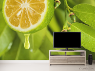 Фотообои Яркий лимон - 2