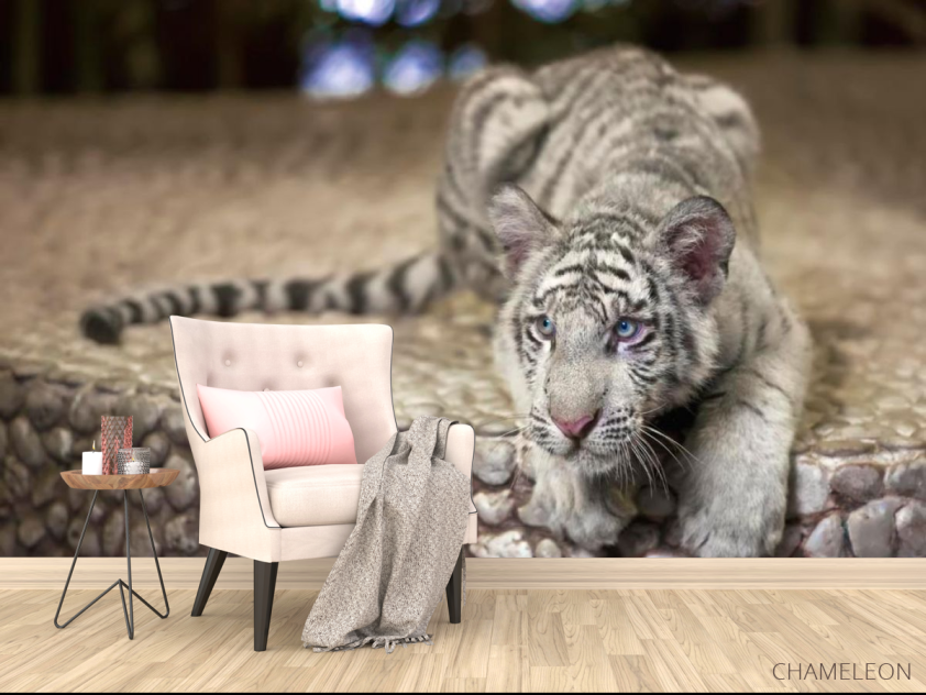 Фотообои Притаившийся тигр - 4