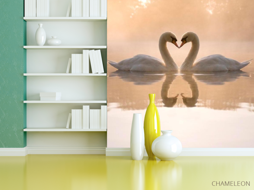 Фотошпалери Пара лебедів - 3
