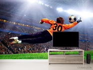 Фотообои Вратарь ловит мяч - 2