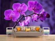 Фотообои орхидея - 1