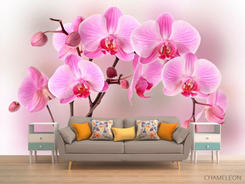 Фотообои Орхидеи розовых тонов - 1