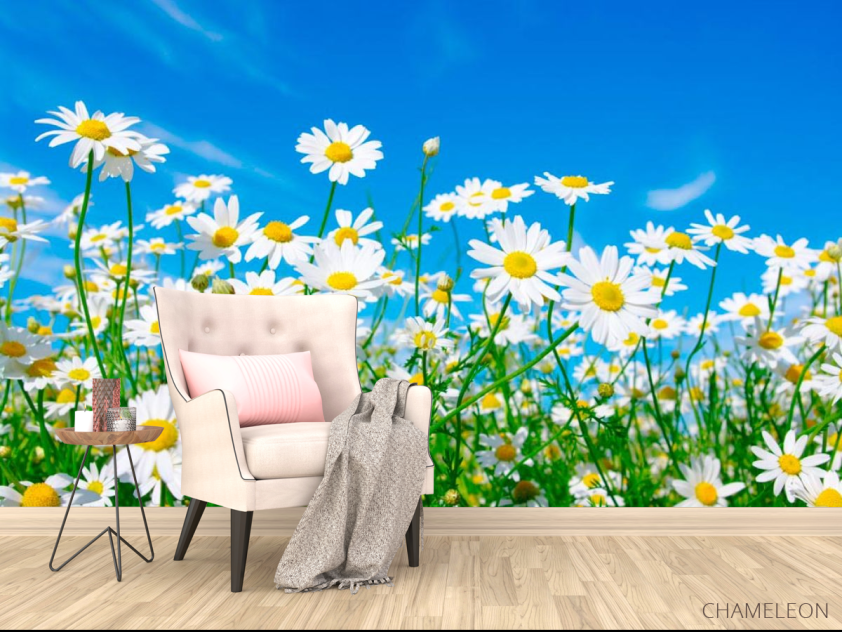 Фотообои Ромашки в поле - 4