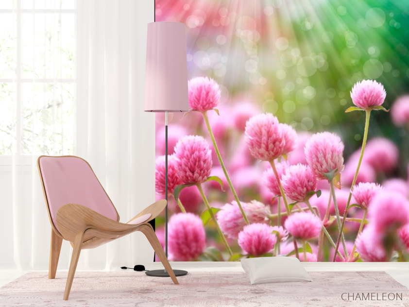 Фотошпалери Рожевий конюшина - 4