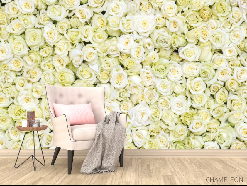 Фотообои море белых роз - 4