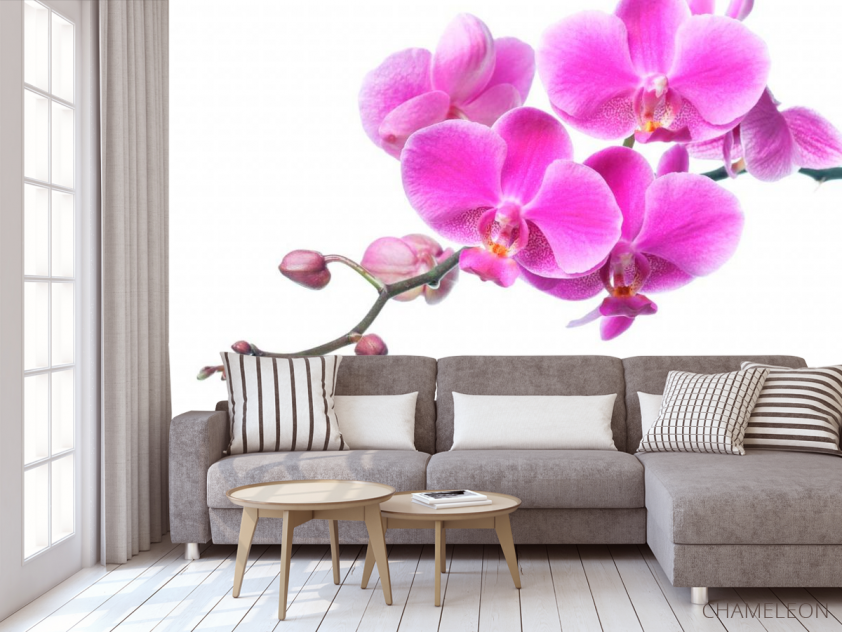 Фотообои Сиреневая орхидея - 3