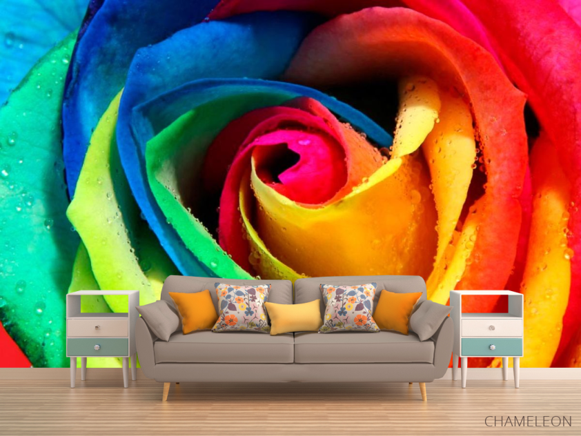 Фотообои Разноцветная роза - 1