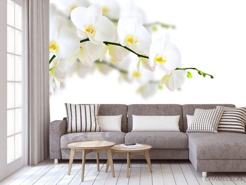 Фотообои веточка белой орхидеи - 3