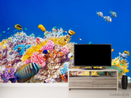 Фотообои Кораллы и рыбы - 2