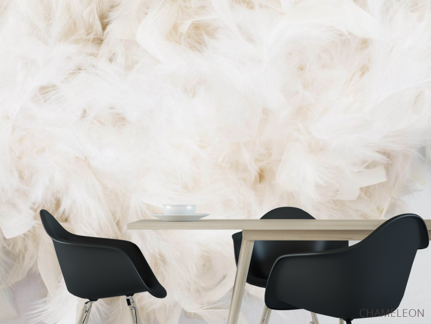 Фотошпалери Бежеві пір'я - 1