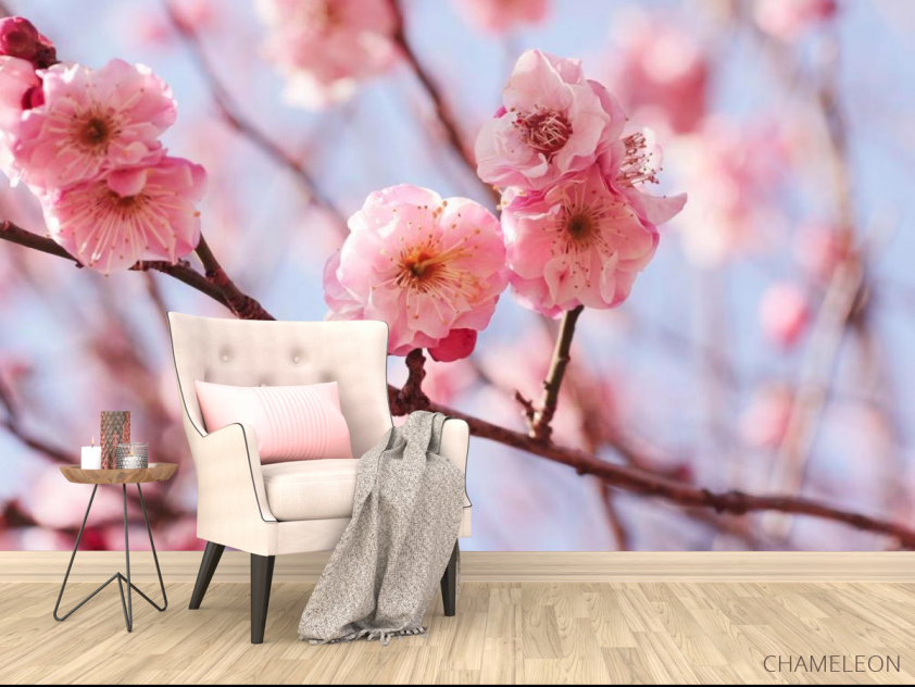 Фотообои Розовые вишневые соцветия - 4