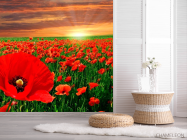 Фотошпалери Схід на маковому полі - 2