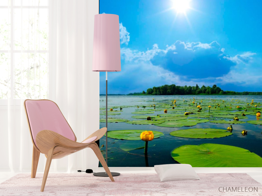 Фотошпалери Річка, хмари, кубушки - 4