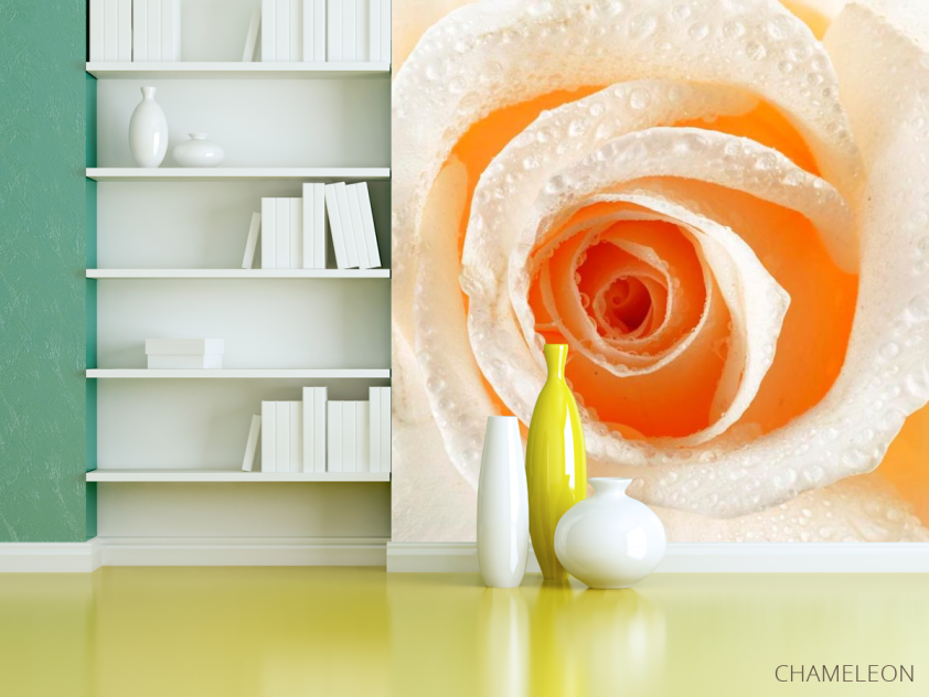 Фотошпалери Кремова троянда макро-зйомка - 3