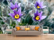 Фотообои Фиалки - 1