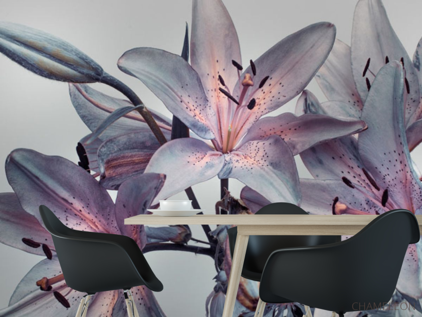 Фотошпалери Фіолетові лілії - 1