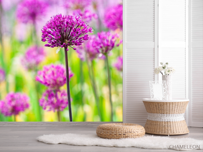 Фотошпалери Фіолетові польові квіти - 2