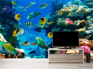 Фотообои Рыбий косяк - 2