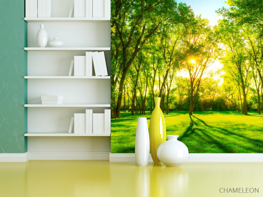 Фотошпалери Зелені дерева - 3