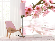 Фотошпалери цвіт вишні над водою - 4