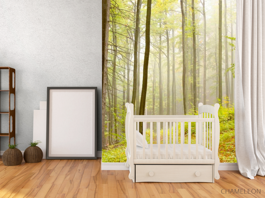 Фотообои Кусочек леса - 2