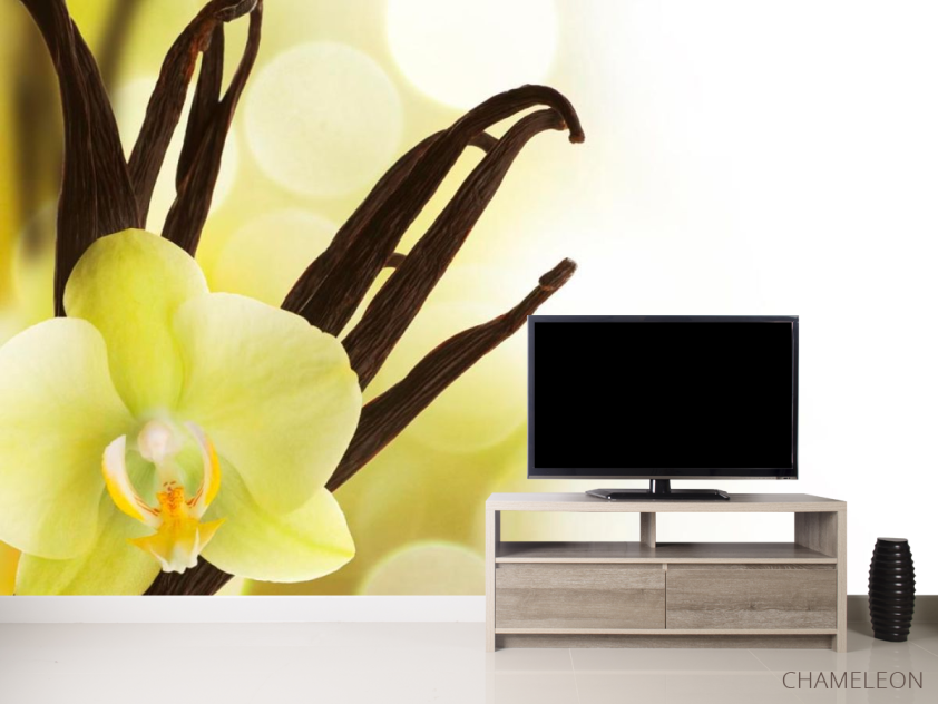 Фотообои Ваниль - 2