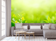 Фотообои зеленые росточки - 3