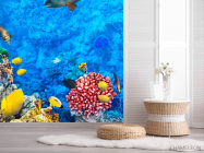 Фотошпалери Риба біля рифу - 2