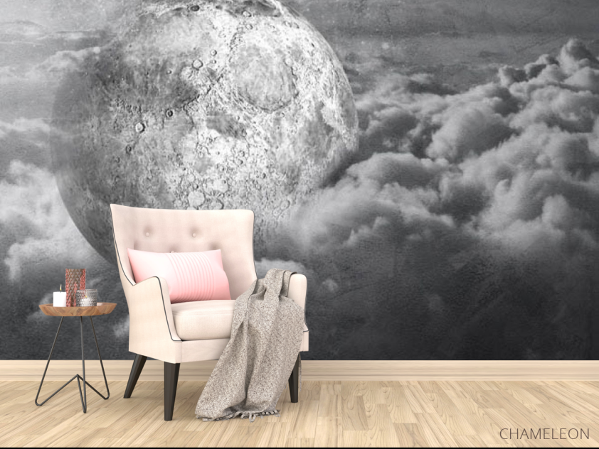 Фотообои Серая луна - 4