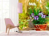 Фотошпалери Горщик з фіалками - 4