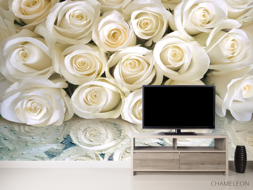 Фотообои Белые розы с росой - 2