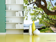 Фотошпалери Набережна, дерева - 3