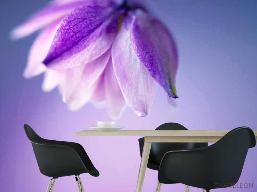 Фотошпалери бузковий квіточка на бузковому тлі - 1