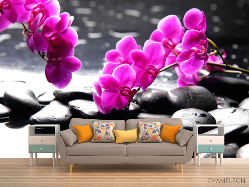 Фотообои Розовые цветы и камни - 1